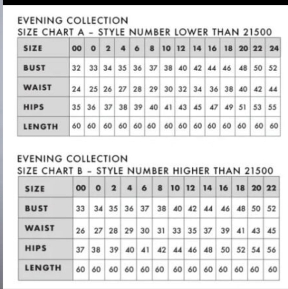 NWOT Sparkly Gown - Picture 8 of 11